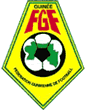 Football Guinée federation.png