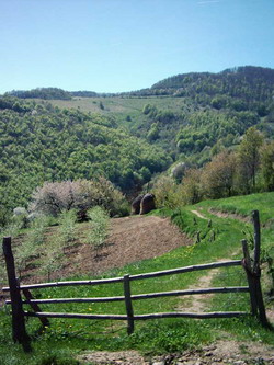 La campagne près de Ljubičevac