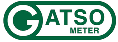 Logo Gatso 3.png