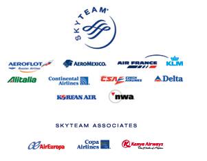 Logo SkyTeam V2.jpg