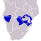 Répartition, au Sud de l'Afrique