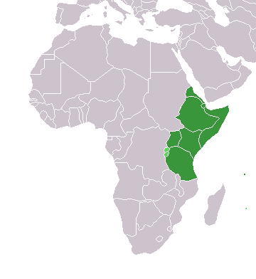 Carte de l'afrique avec les pays de l'Afrique de l'Est en surbrillance